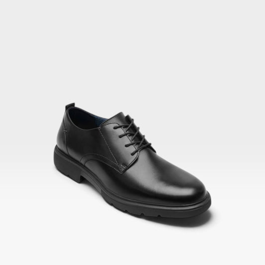 Zapato Derbi Fronzi