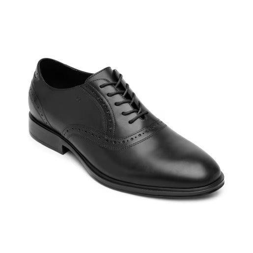 Oxford Lando