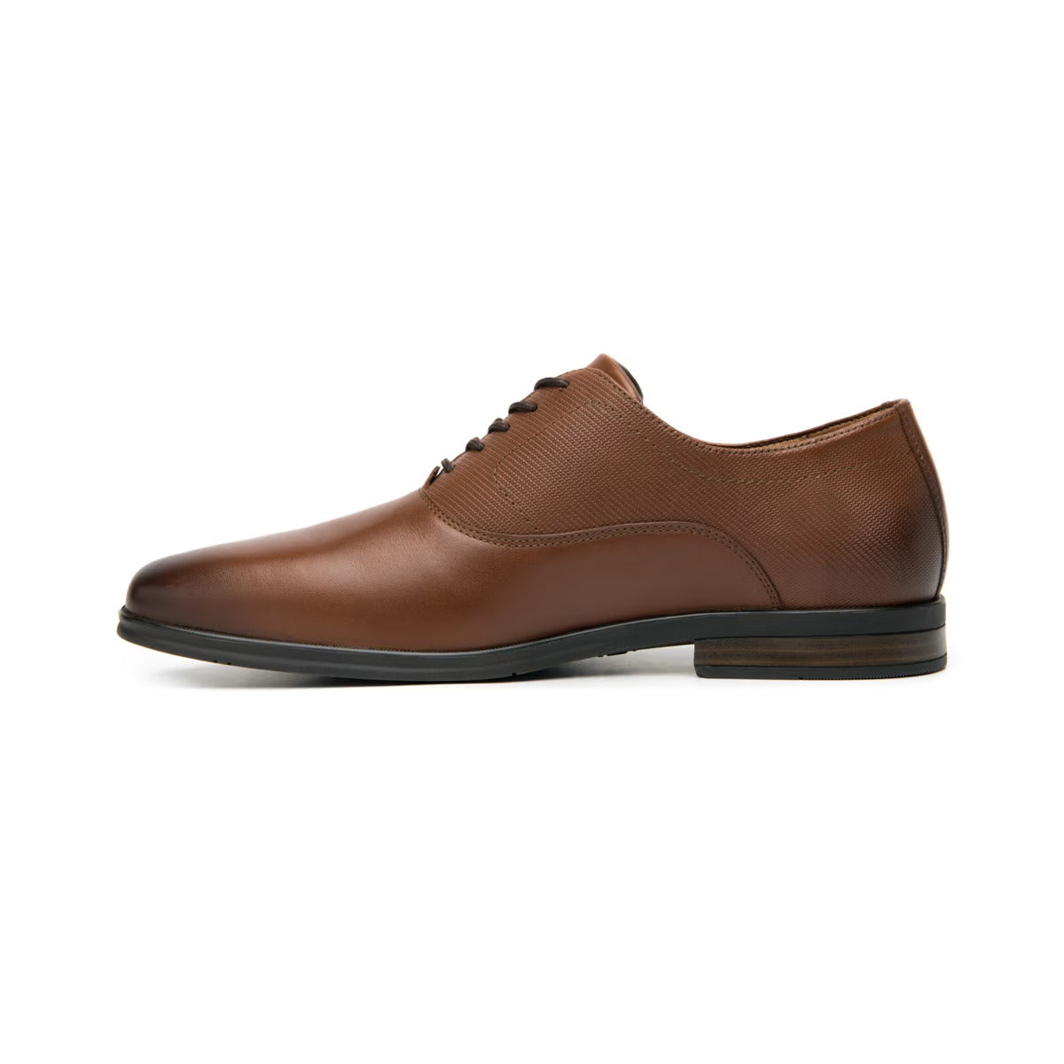 Zapato Oxford Crypto