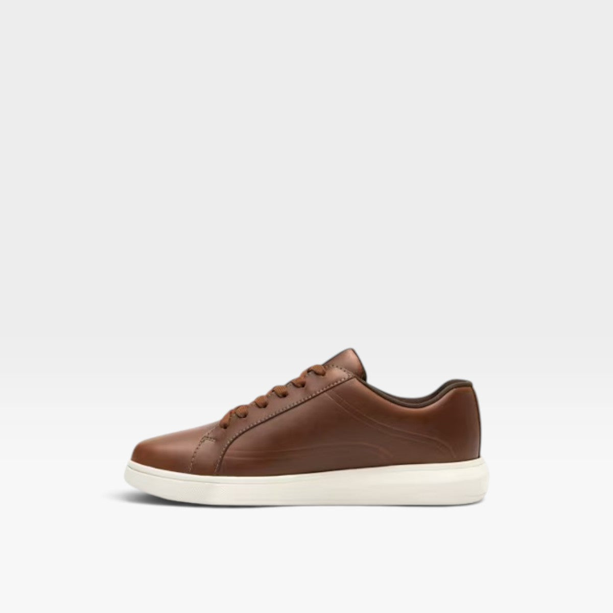 Sneaker Fraser