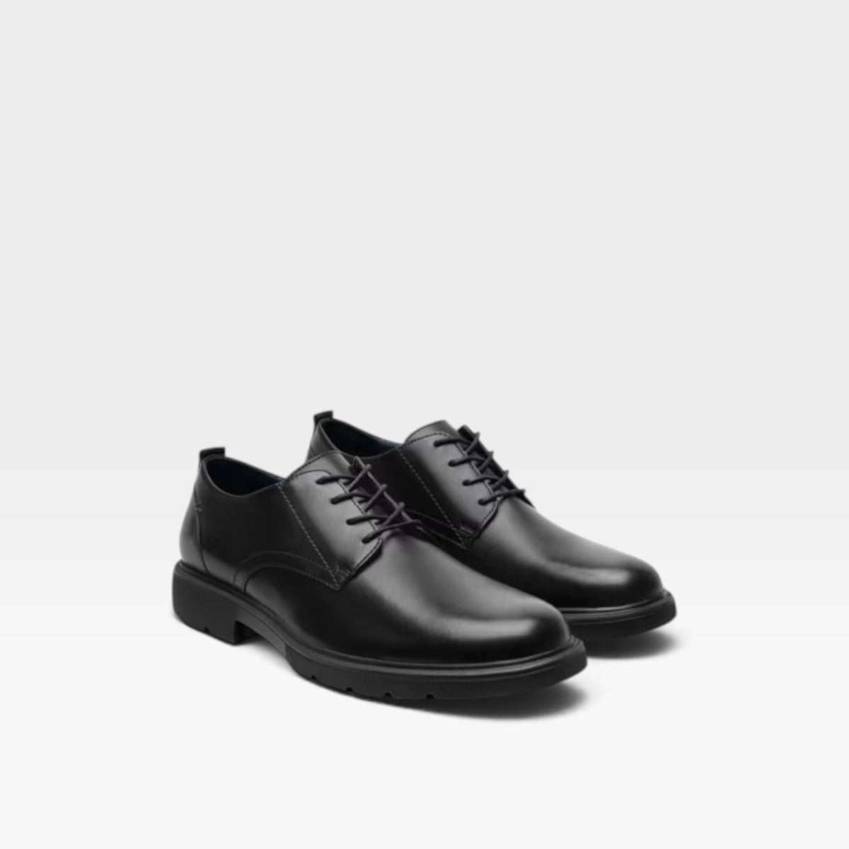 Zapato Derbi Fronzi