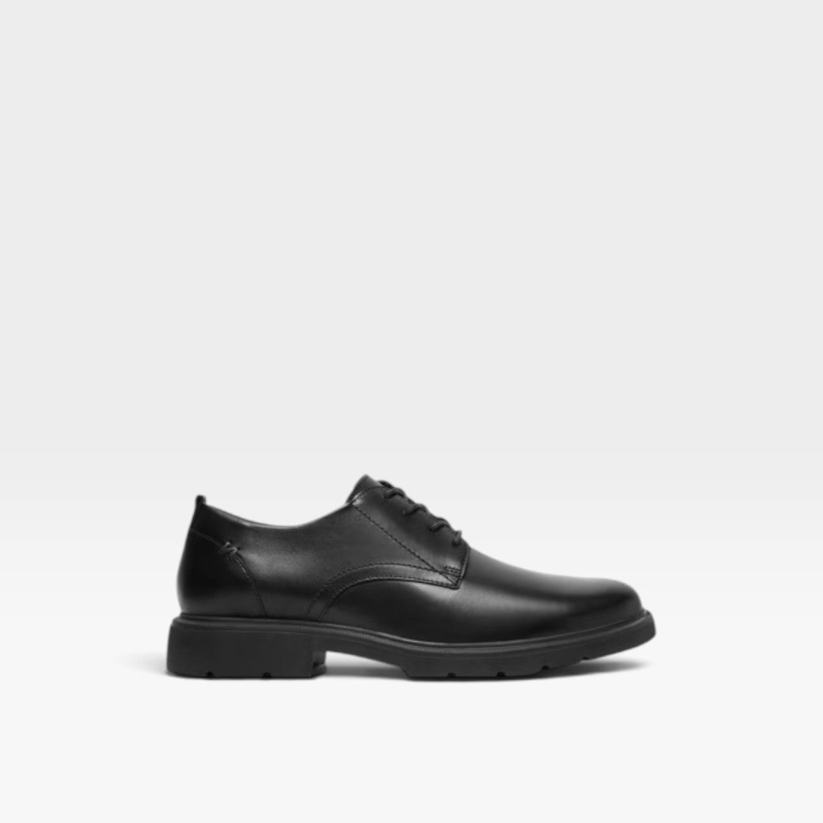 Zapato Derbi Fronzi