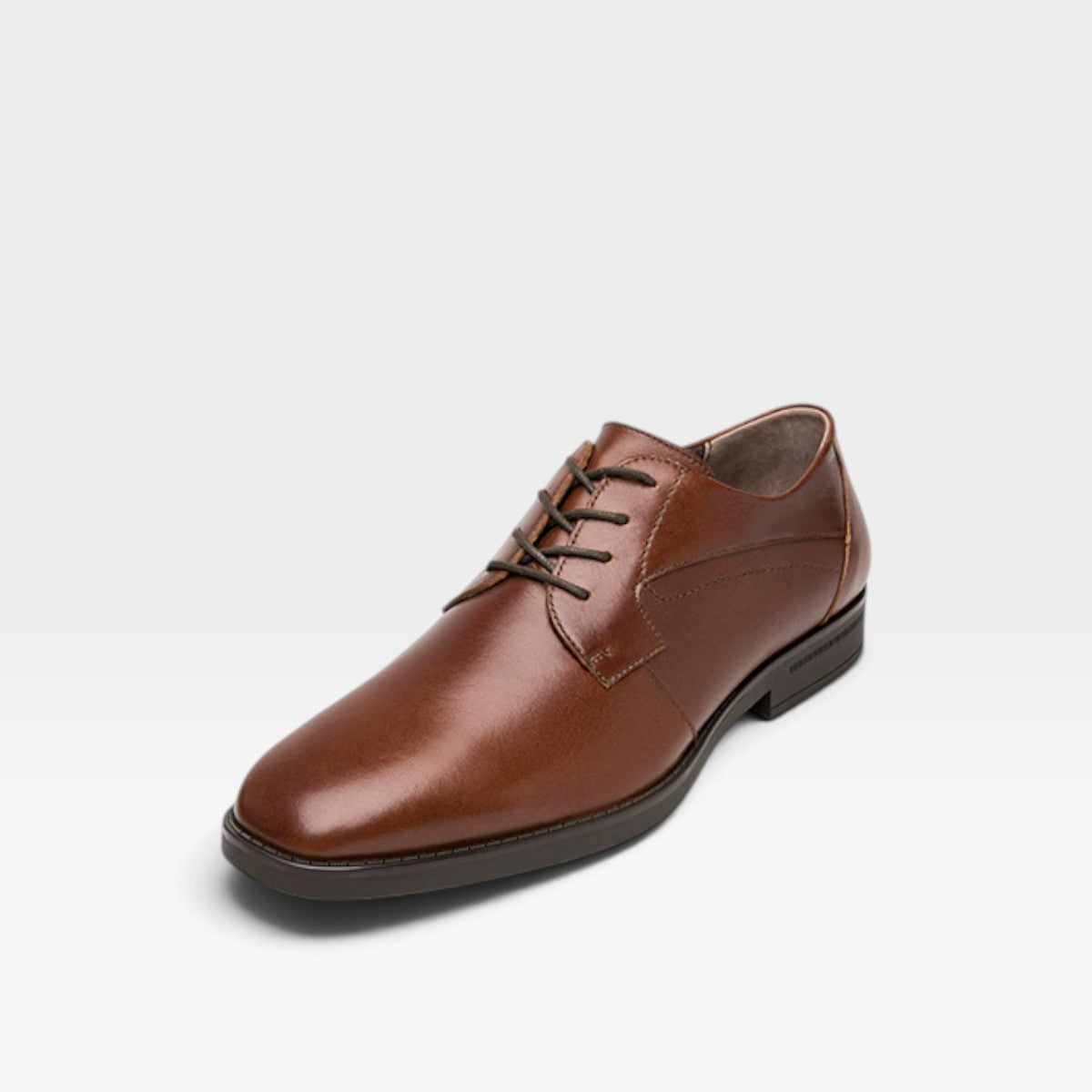 Zapato Derby Cassini
