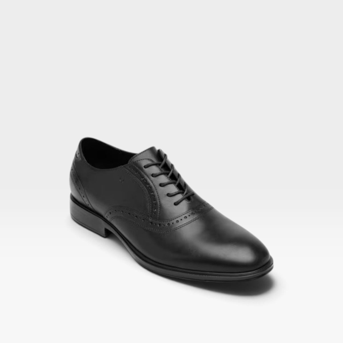 Oxford Lando