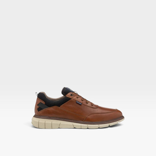 Sneaker Toronto