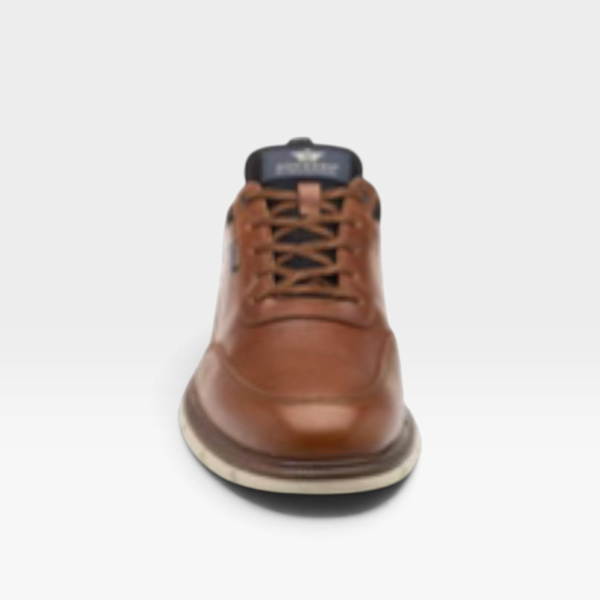 Sneaker Toronto